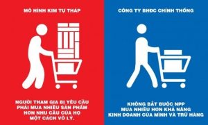 sự khác biệt